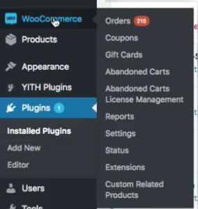 Wordpress WooCommerce Plugin